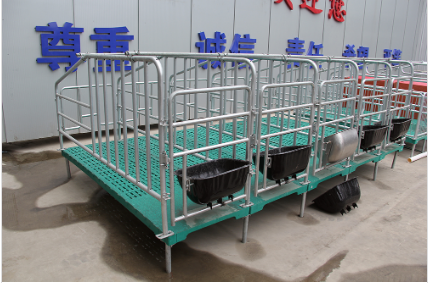 為什么要使用母豬定位欄？